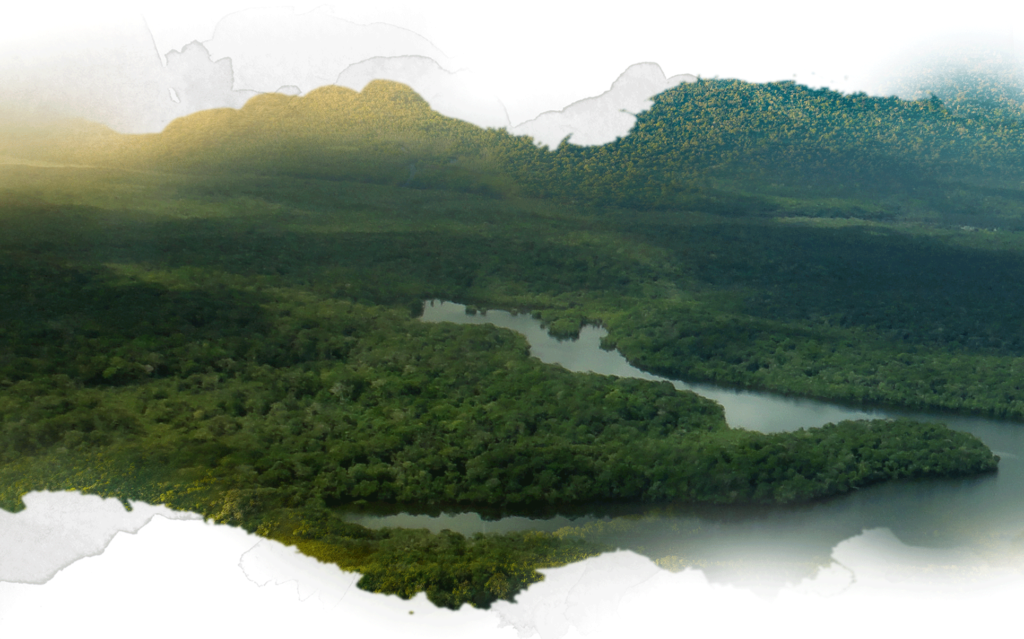amazonia